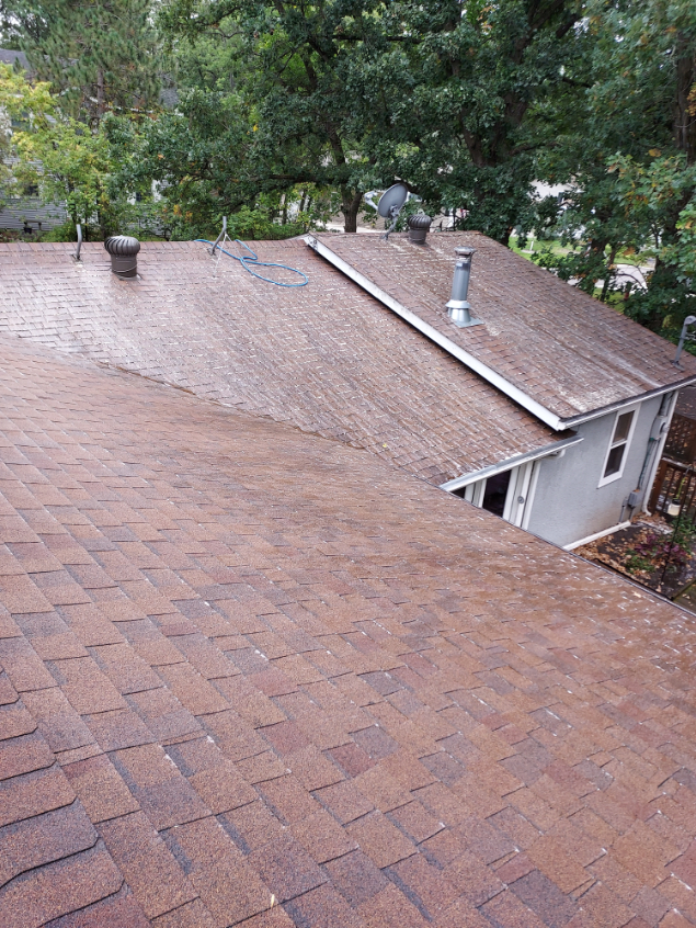 Roof cleaning