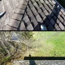 Roof Washing St Francis 7